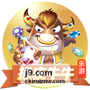 j9.com 平台应用指南封面