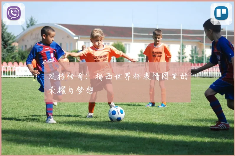定格传奇：梅西世界杯表情图里的荣耀与梦想